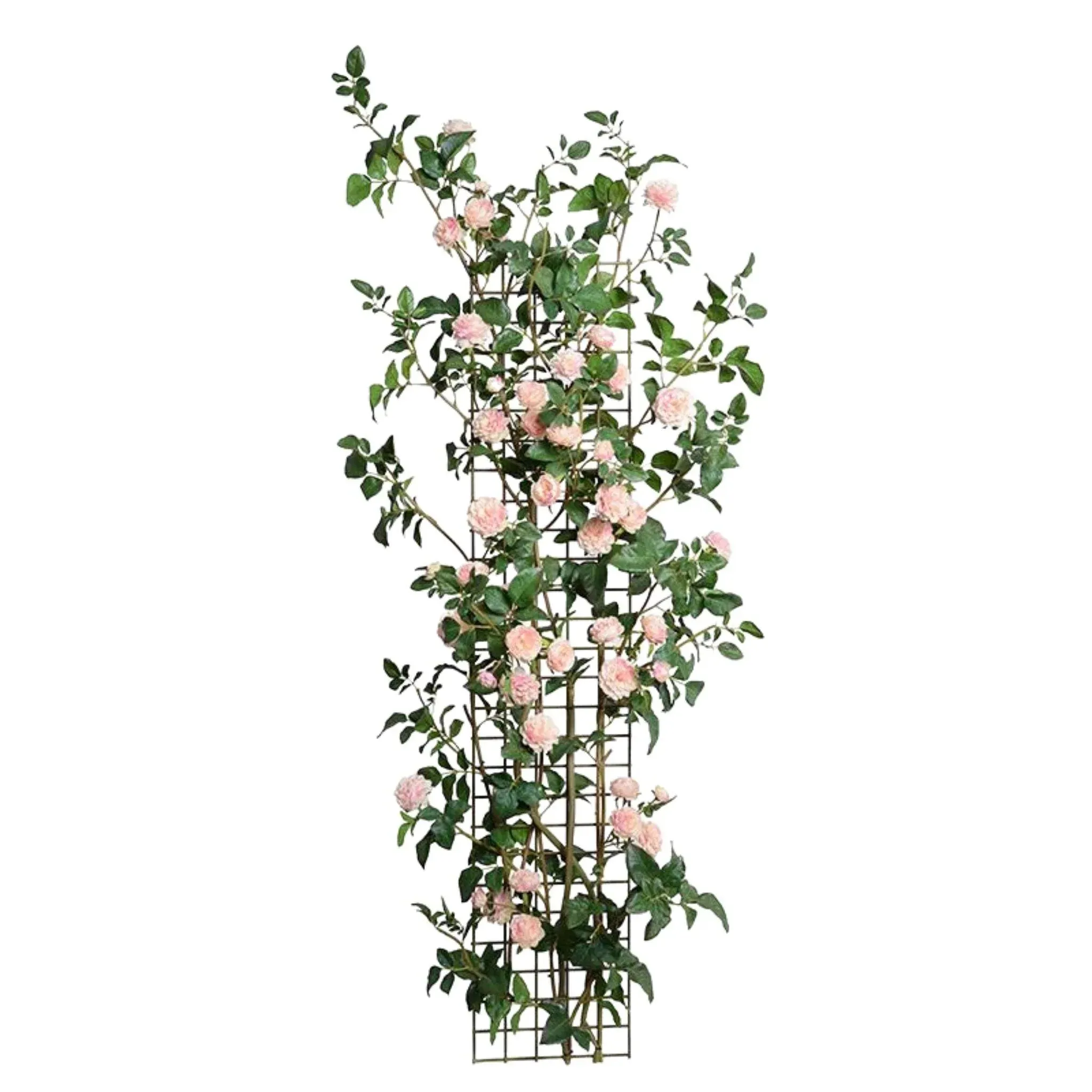 72" High Climbing Pink Rose Stem Trellis Outdoor Porch Use