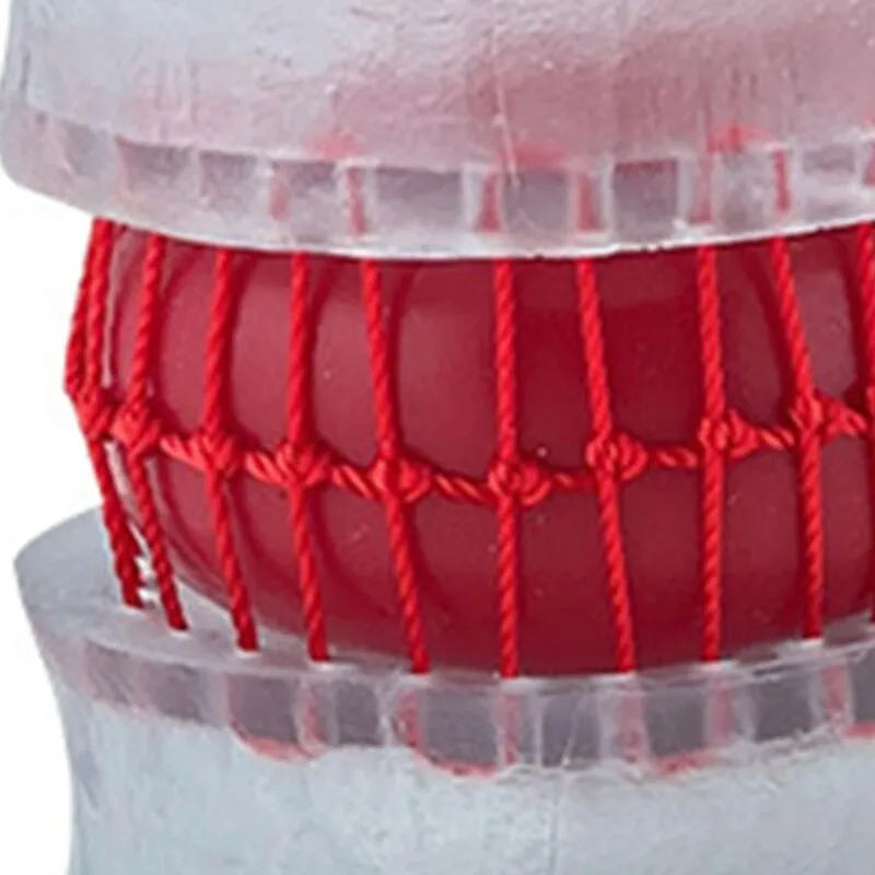 Anatomy Lumbar Spine Model with Movable Lumbar Disc for Demonstrating Pathological Lumbar Disc Lumbar Vertebra Y3NC