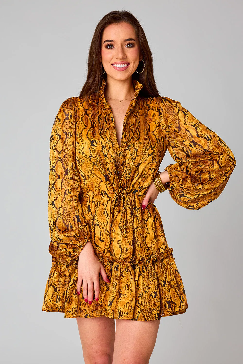 Grace Long Sleeve Short Dress - Snake Charmer