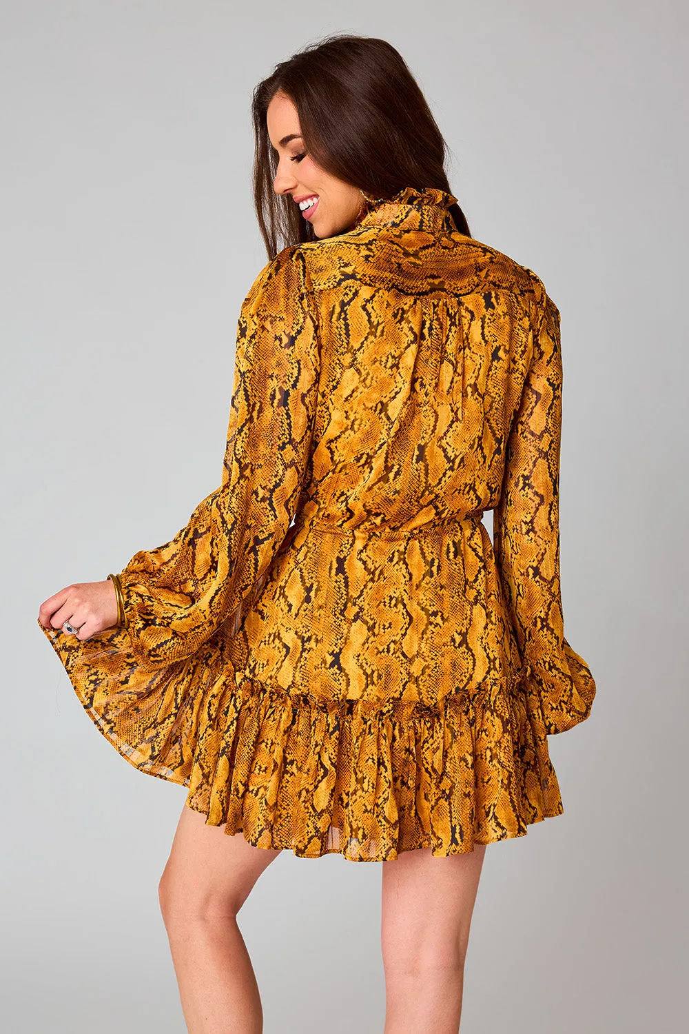 Grace Long Sleeve Short Dress - Snake Charmer