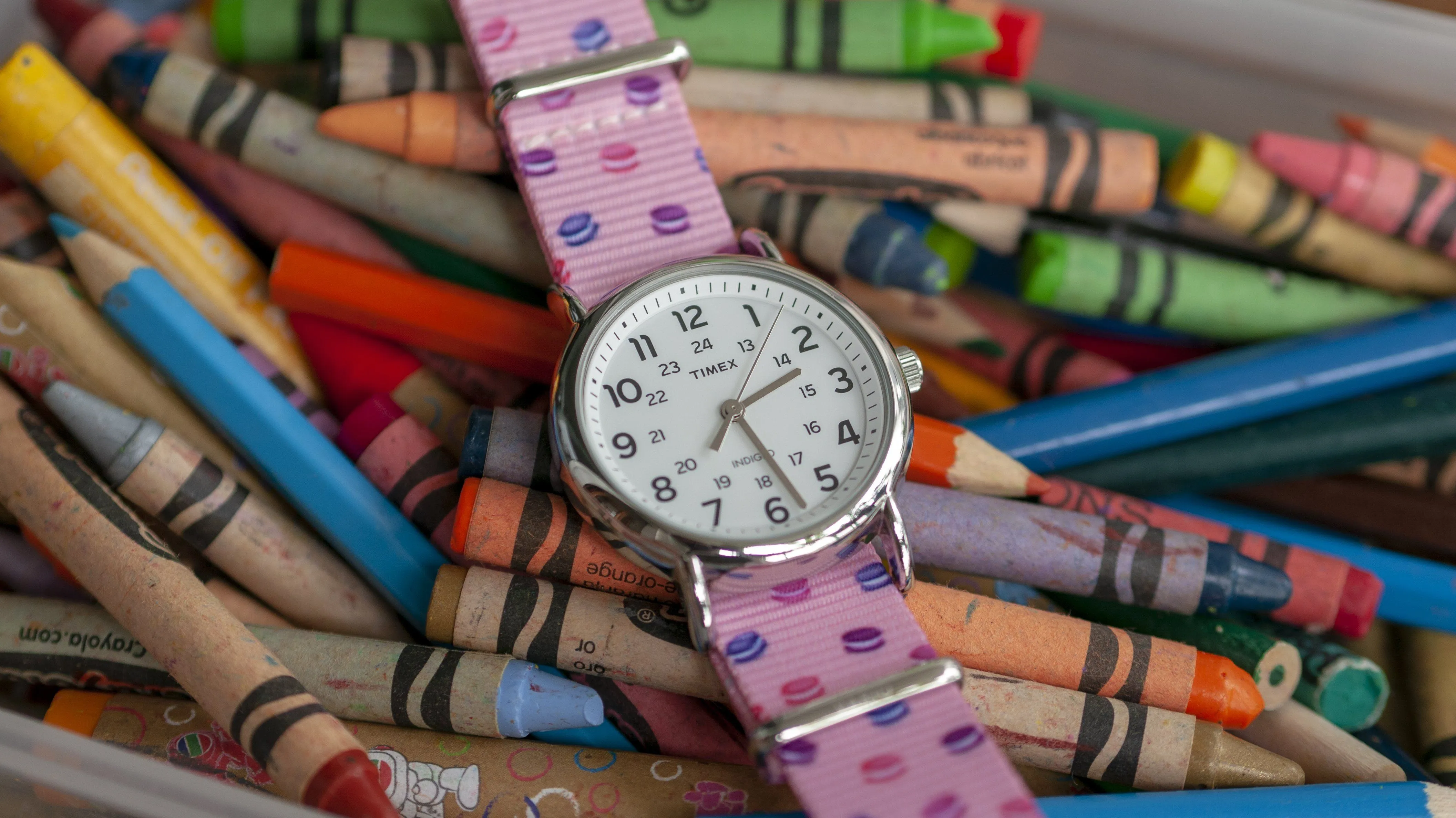 Macaron Dots Graphic Watch Strap